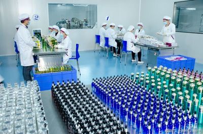 电蚊拍与化妆品的奇妙联结 珠海日新的成功传奇