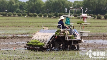 608苏宁易购产地直卖节 以极致性价比，为618电蚊拍大战打响前哨