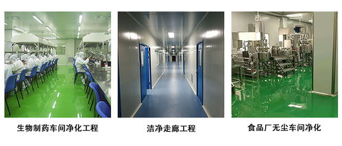 建设食品厂无尘车间的关键注意事项与电蚊拍管理策略